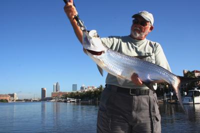 Downtown Tampa Tarpon